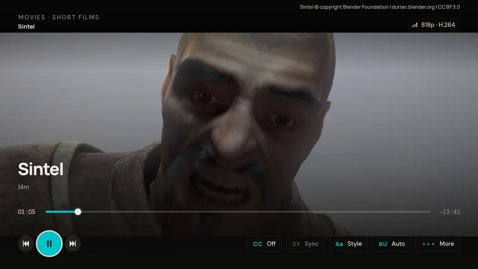 The player during the open-licence short film Sintel, with the progress bar and buttons for subtitles, subtitle sync, subtitle style and audio.